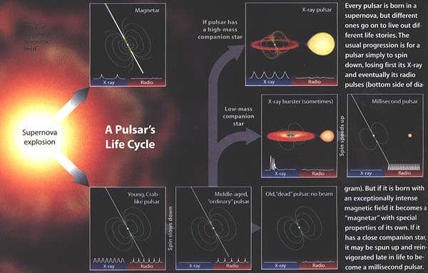 Utvecklingen av pulsarer (Courtesy S&T Steven Simpson)